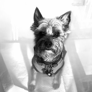 Meet your Posher, Amelia